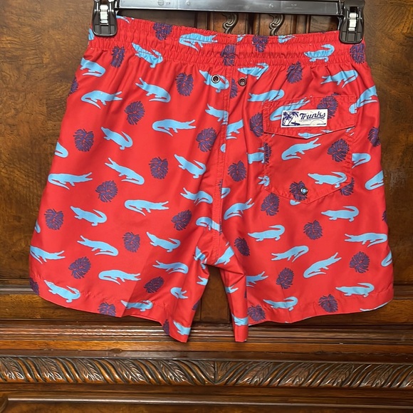 Trunks Surf & Swim Co. size Small, men’s 6” lined trunk - Picture 4 of 4
